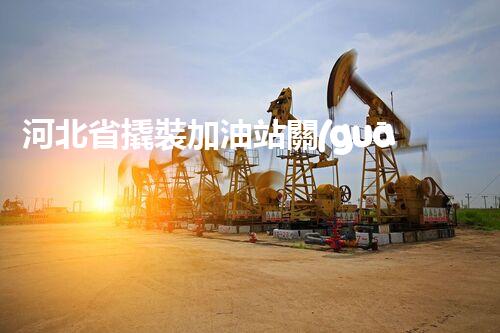 河北省撬裝加油站關(guān)鍵技術(shù)突破！化工廠拆除工程的新方法探索？